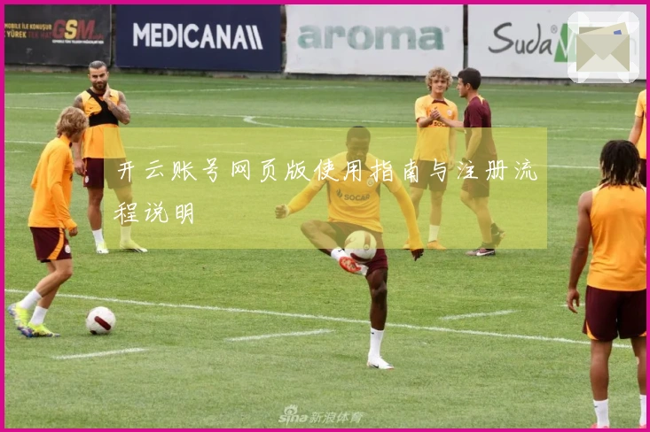 开云账号网页版使用指南与注册流程说明